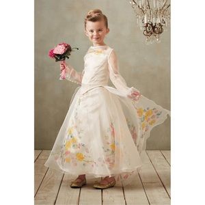 CHASING FIREFLIES  Cinderella Wedding Gown Costume